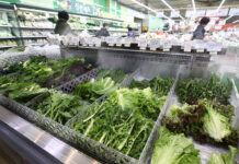 여름철 대비 농수산물 선제적 관리…곰팡이독소·잔류농약 검사