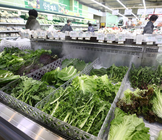 여름철 대비 농수산물 선제적 관리…곰팡이독소·잔류농약 검사