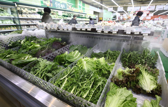 소비자 물가 7개월만에 3.8% 상승 '농산물 13.5%상