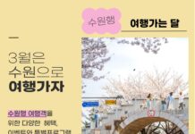 봄 기운 가득한 3월, 수원으로 여행오세요!