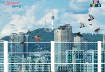 새들 살리는 유리창의 점 ! 서울시, 야생조류 충돌 방지 참여대상 첫 공모