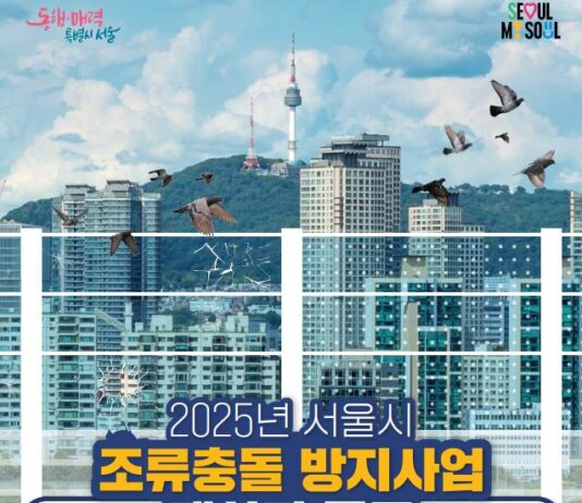 새들 살리는 유리창의 점 ! 서울시, 야생조류 충돌 방지 참여대상 첫 공모