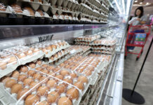 여름철 살모넬라 식중독 주의…식약처, 알가공품 제조업체 위생 점검