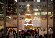 경기도, 경기융합타운 광장 밝히는 ‘도담트리’ 점등