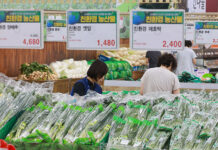 임산부 16만 명에 24만 원 상당 친환경 농산물 꾸러미 제공