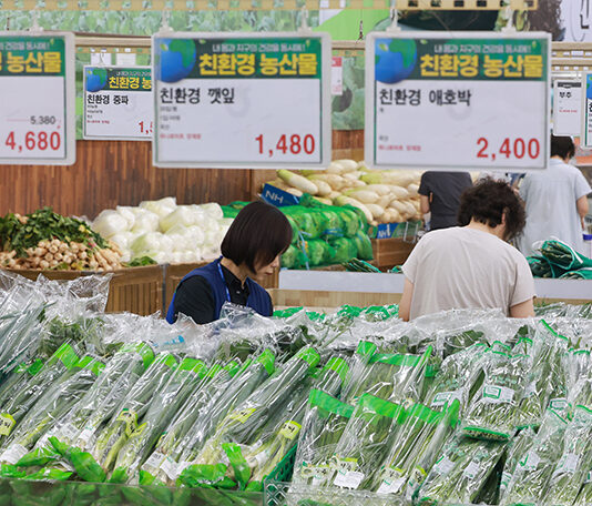 임산부 16만 명에 24만 원 상당 친환경 농산물 꾸러미 제공